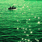 test_admin