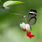 test_user