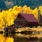 test_user