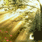 test_user