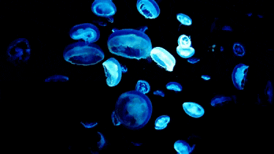 640-7